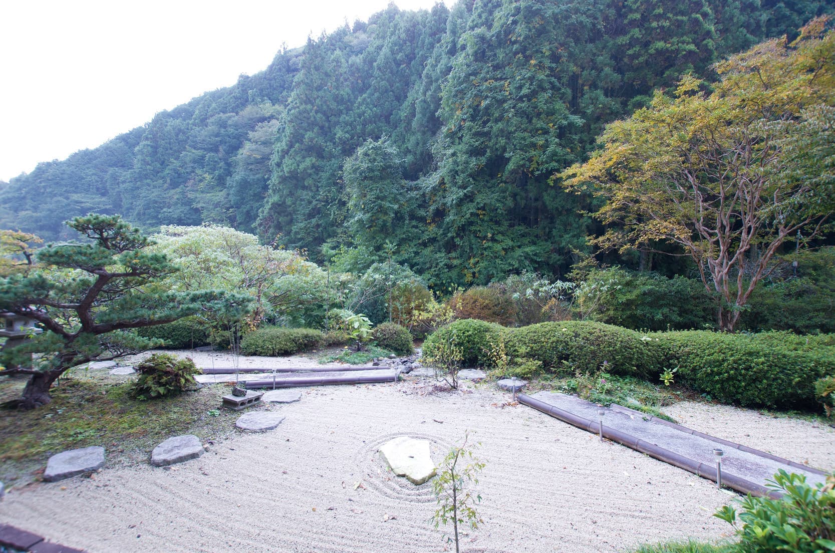 niwa-4101.jpg